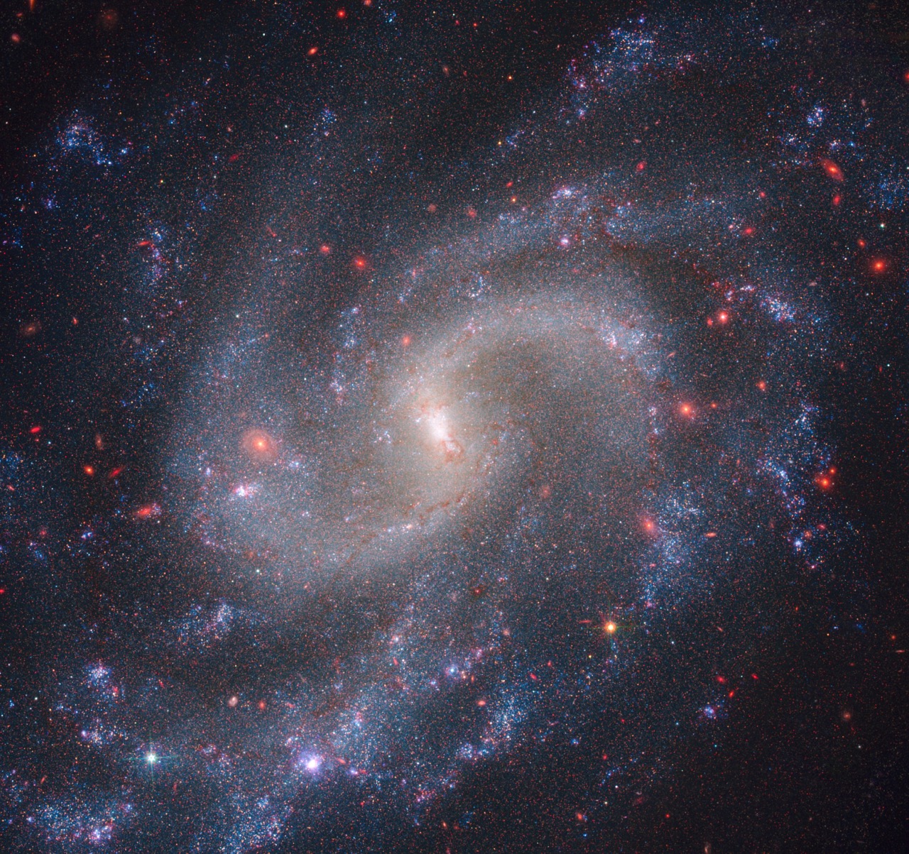 Galaxy NGC 5584